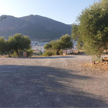 Villa El Mirador Альгодоналес Экстерьер фото